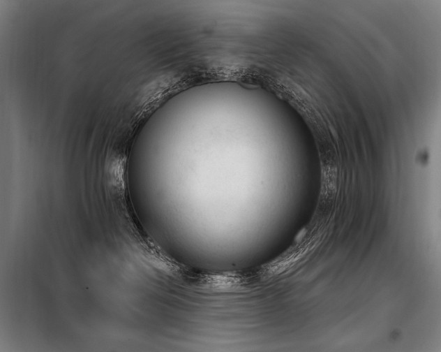 X0000098140286200804171555