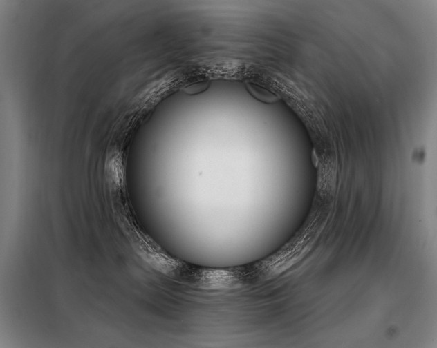 X0000098140287200804171555