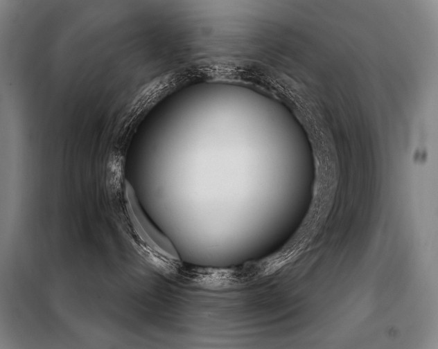 X0000098140288200804171555