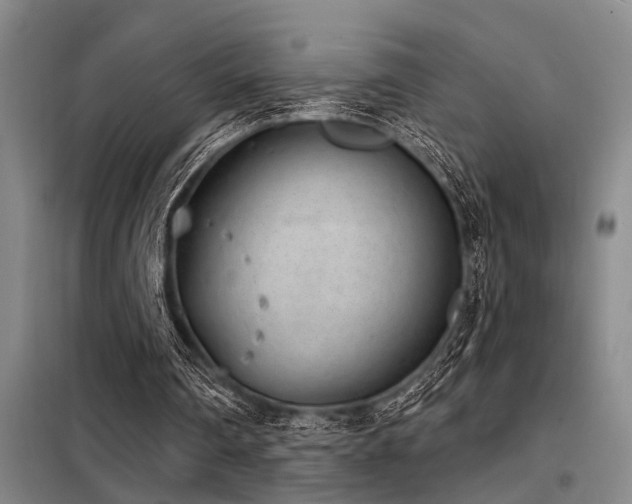 X0000098140290200804171554