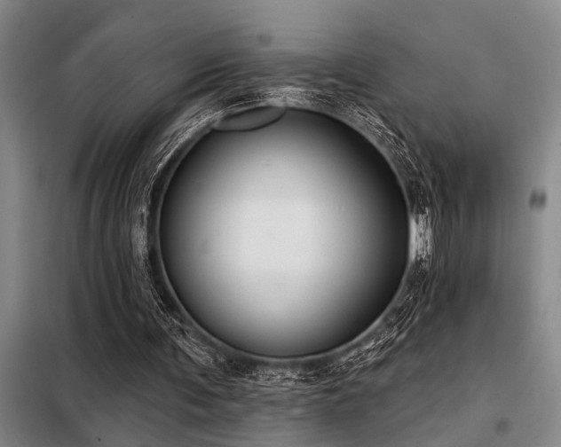 X0000098140291200804171554