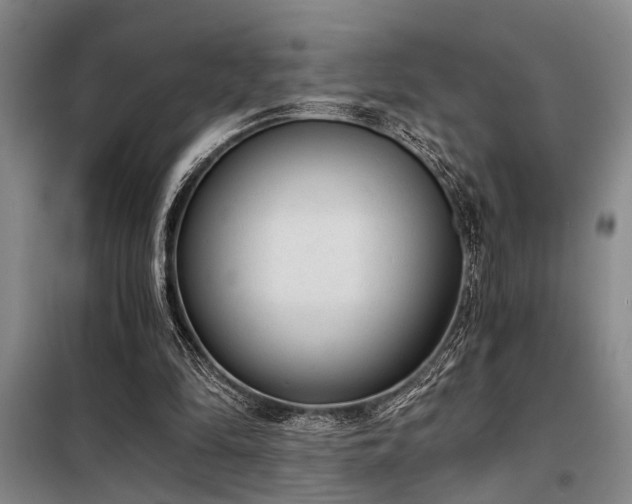 X0000098140294200804171554
