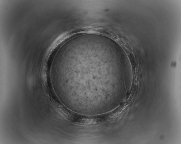 X0000098140295200804171554
