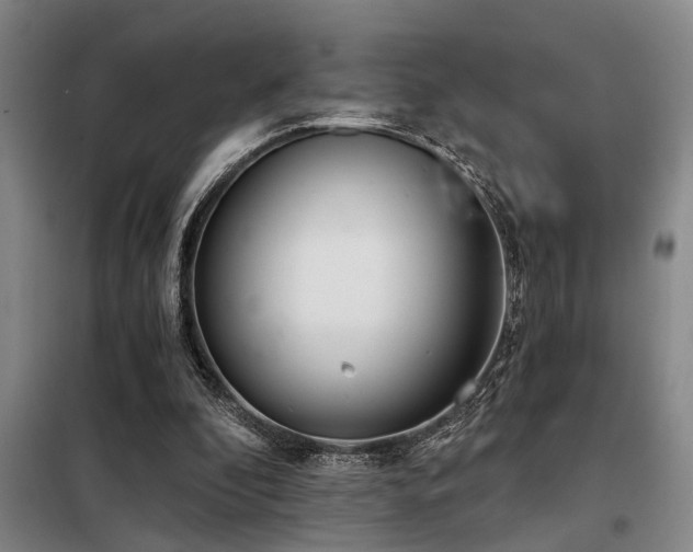 X0000098140296200804171554