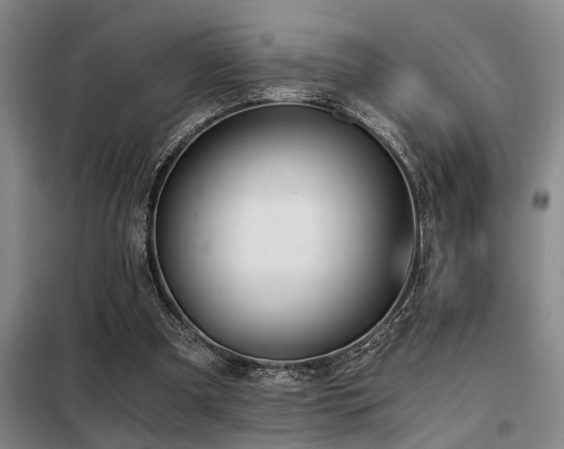 X0000098140297200804171554