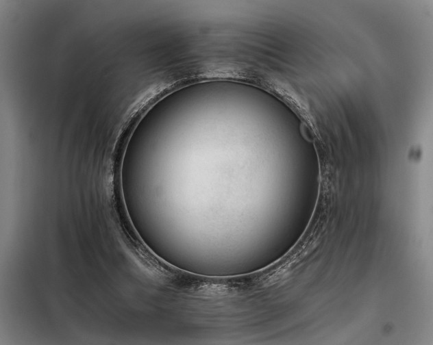 X0000098140298200804171554