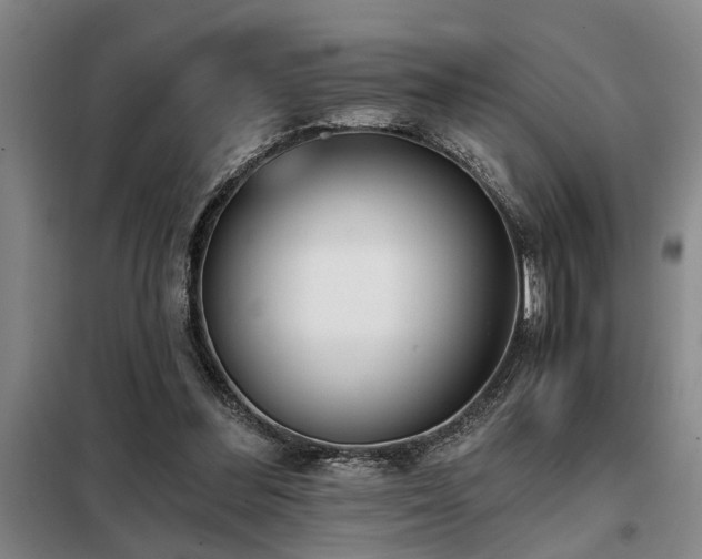 X0000098140300200804171554