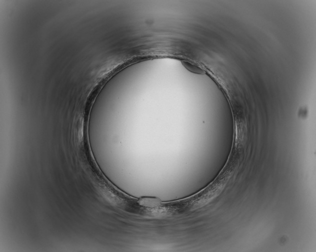 X0000098140301200804171554