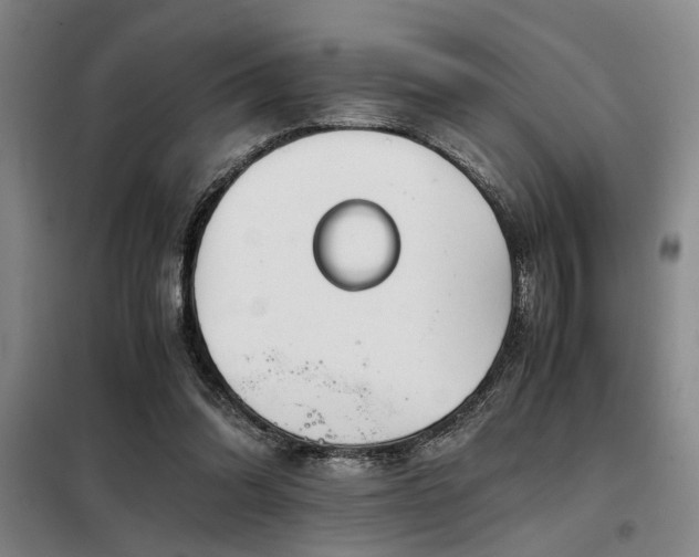 X0000098140302200804171554