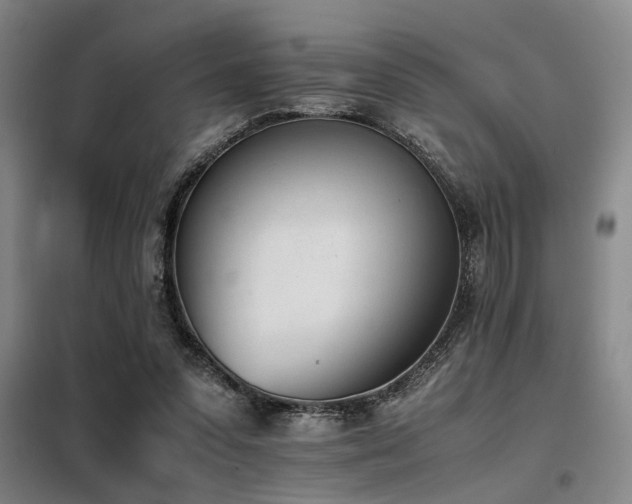 X0000098140303200804171554