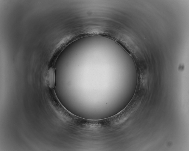 X0000098140304200804171554