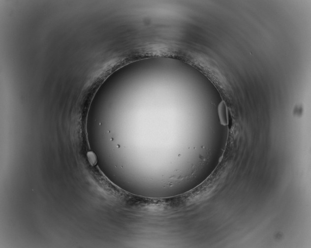 X0000098140306200804171554