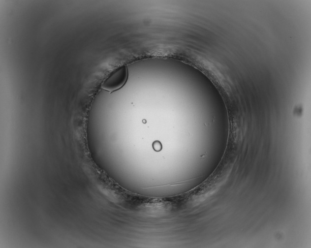 X0000098140307200804171554