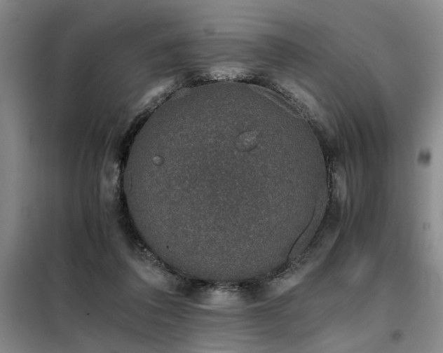 X0000098140308200804171554