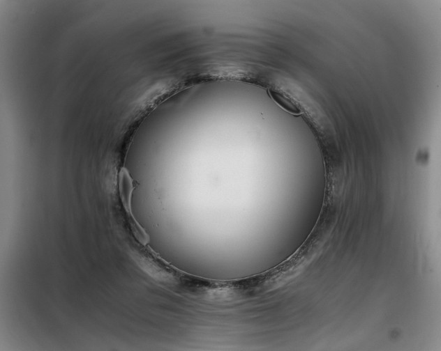 X0000098140309200804171554