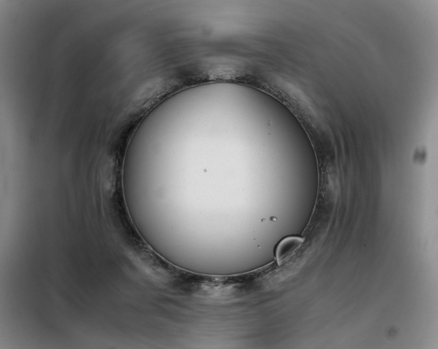 X0000098140311200804171554