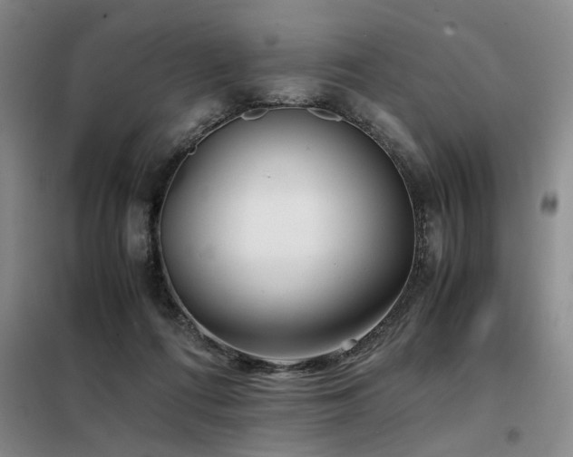 X0000098140312200804171554