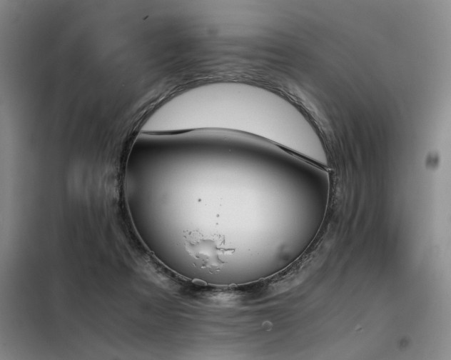 X0000098140313200804171554
