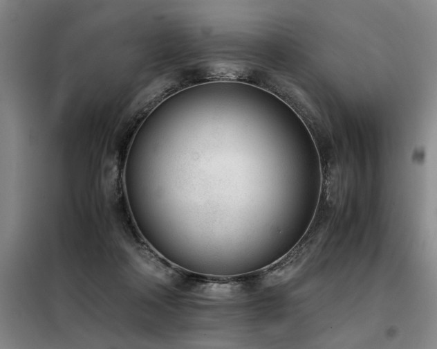 X0000098140314200804171554