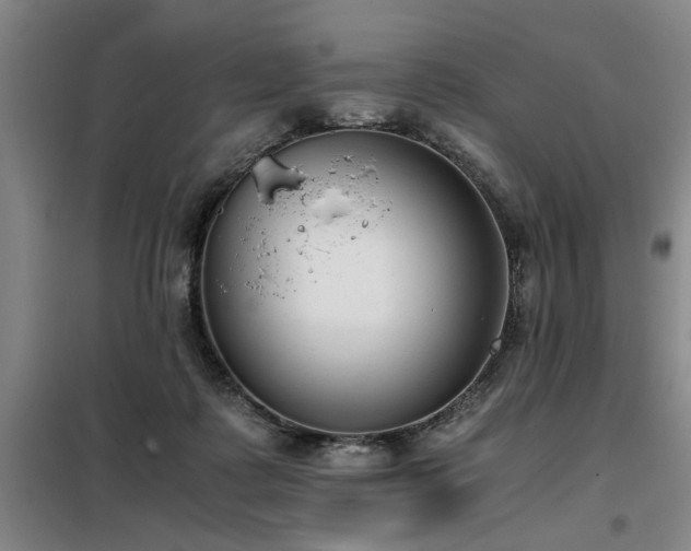 X0000098140315200804171554
