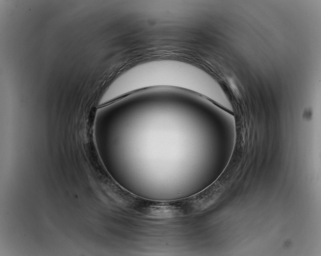 X0000098140316200804171553