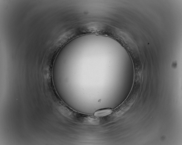 X0000098140317200804171553