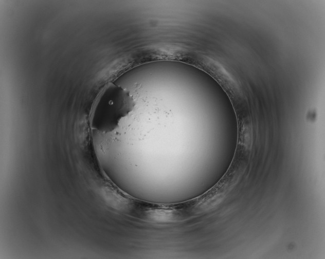 X0000098140318200804171553