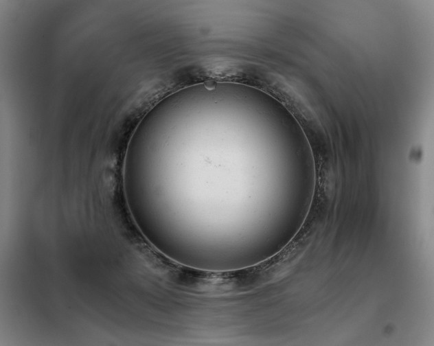 X0000098140319200804171553
