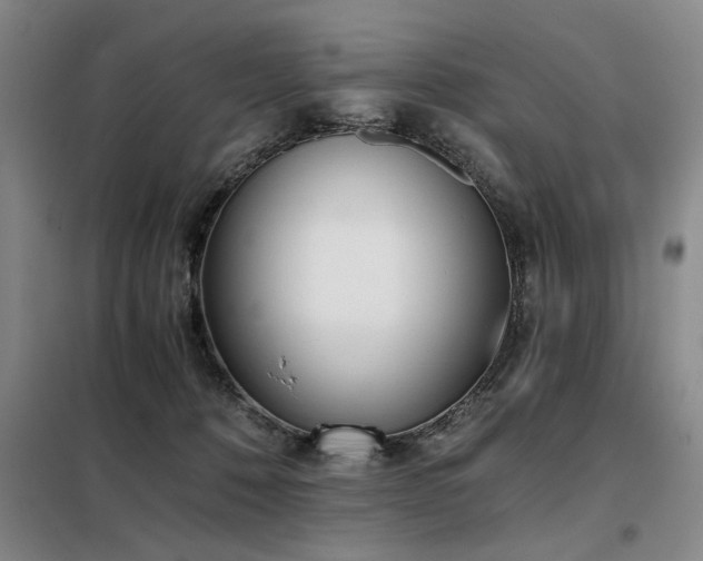 X0000098140320200804171553