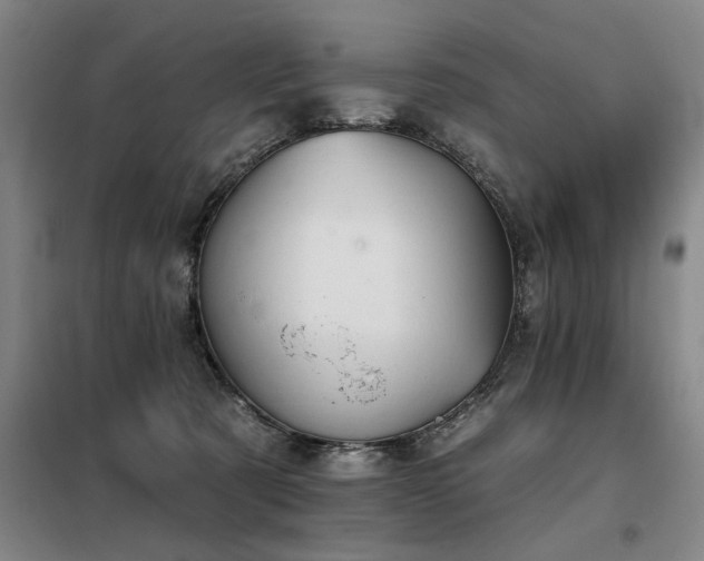 X0000098140321200804171553