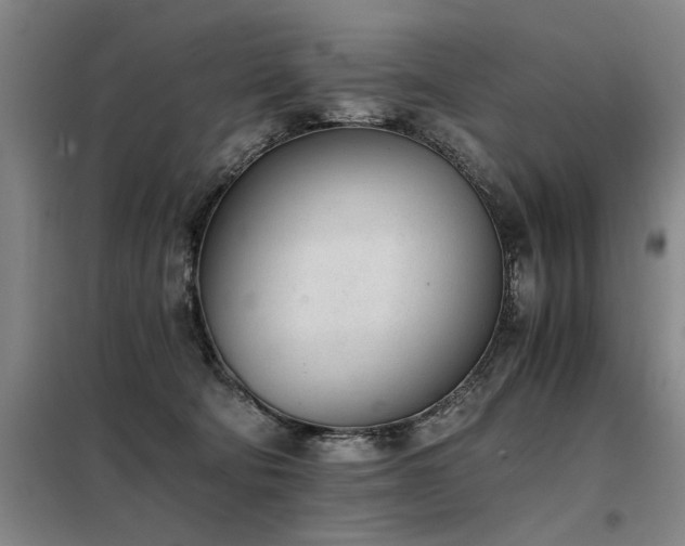 X0000098140322200804171553