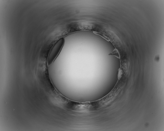 X0000098140323200804171553