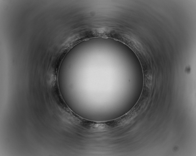 X0000098140324200804171553