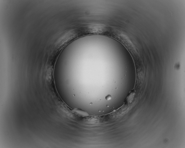 X0000098140325200804171553