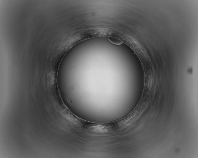 X0000098140326200804171553