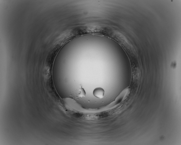X0000098140327200804171553