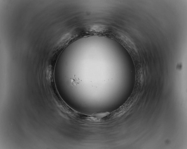 X0000098140328200804171553