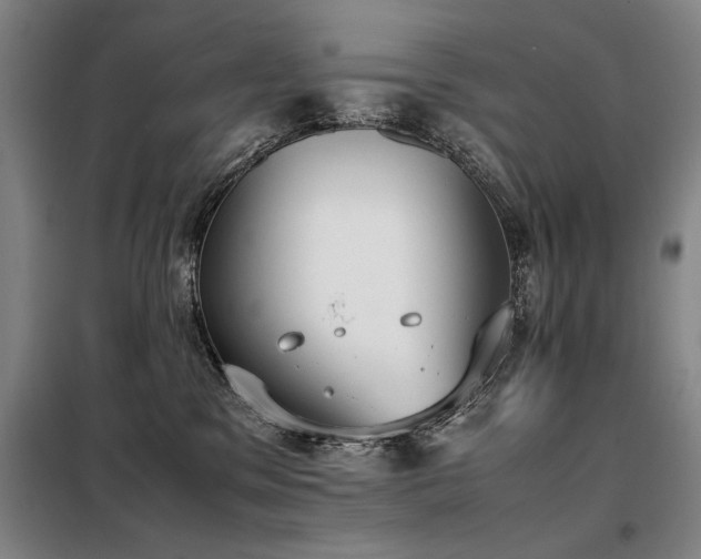 X0000098140329200804171553