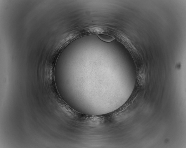 X0000098140330200804171553