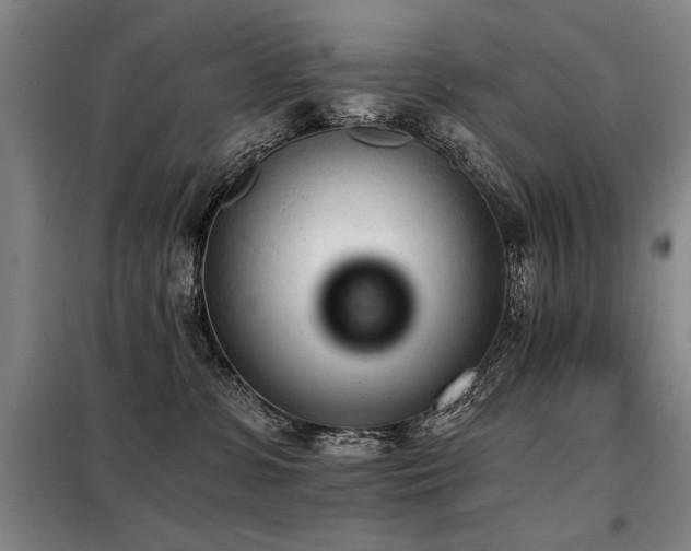 X0000098140331200804171553