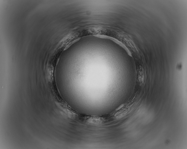X0000098140332200804171553