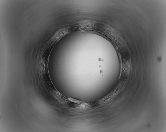 X0000098140333200804171553