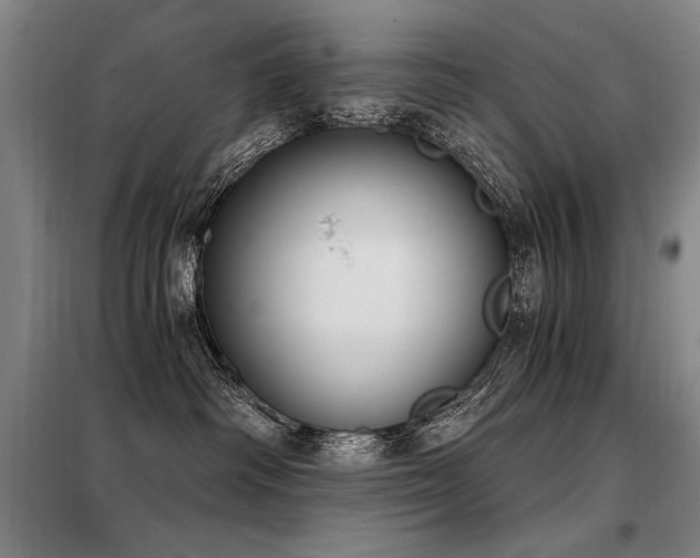 X0000098140334200804171553