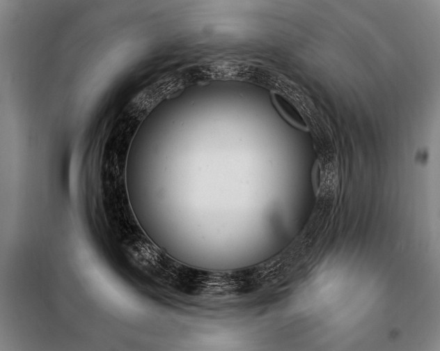 X0000098140335200804171553