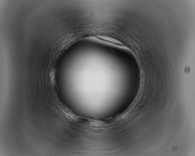 X0000098140336200804171553