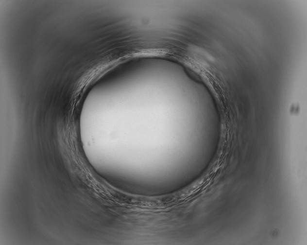 X0000098140337200804171552