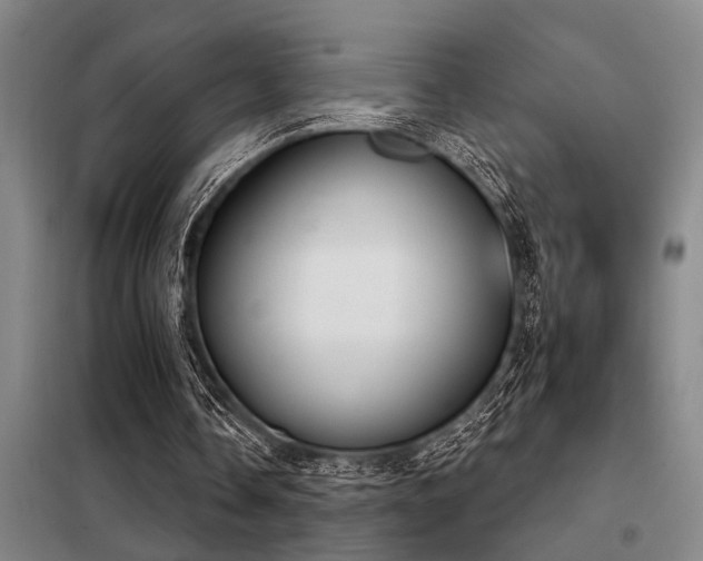 X0000098140338200804171552