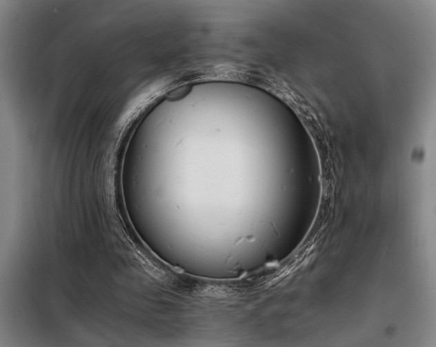 X0000098140341200804171552