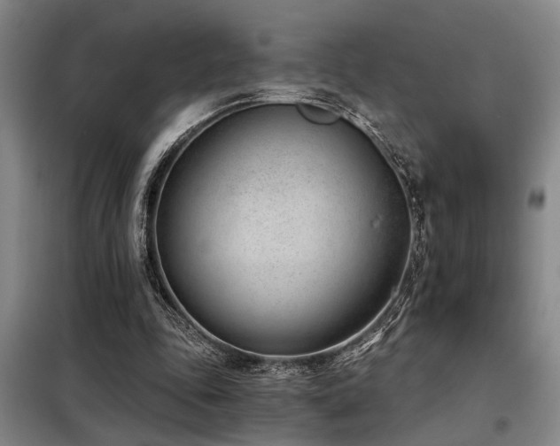 X0000098140343200804171552