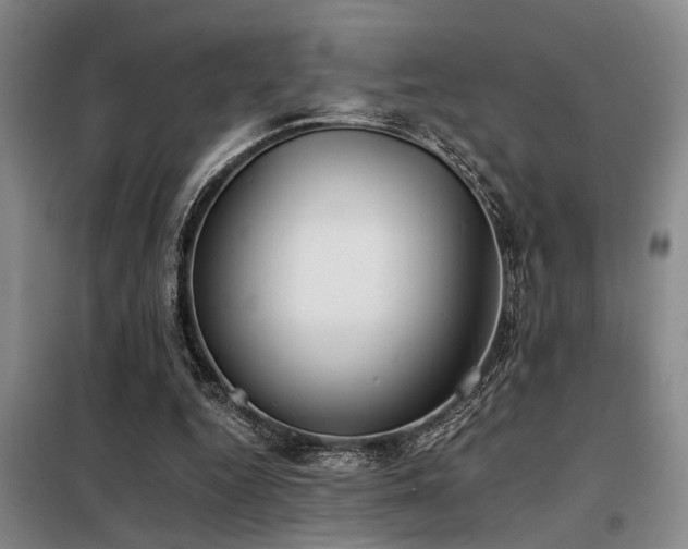 X0000098140344200804171552